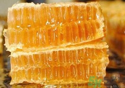 蜂胶是什么东西？蜂胶可以长期服用吗？
