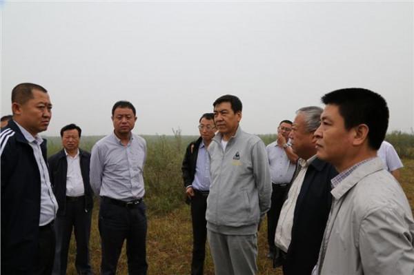肖志军湖南省 京煤集团副总经理肖志军到金泰· 南燕湾项目进行调研考察