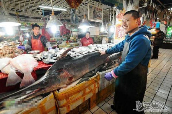 >青岛渔民捕获270斤重箭鱼（图）