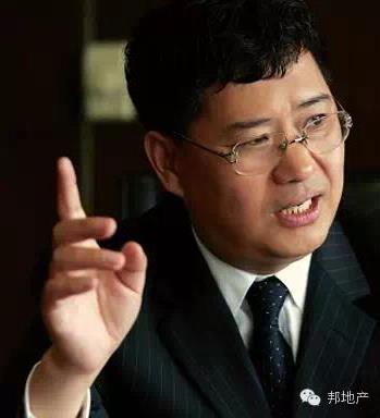 张玉良: 我只有绿地1%股权 但和王健林一样努力