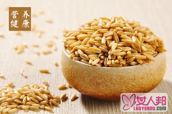 野燕麦的功效与作用_野燕麦的营养价值详解！