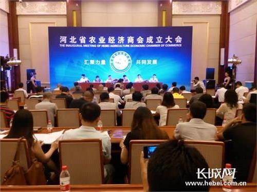 河北省国际商会第四届代表大会召开 张力红当选会长