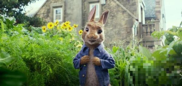 >《彼得兔》发布新预告 美女邻居引发人兔大战，什么时候上映