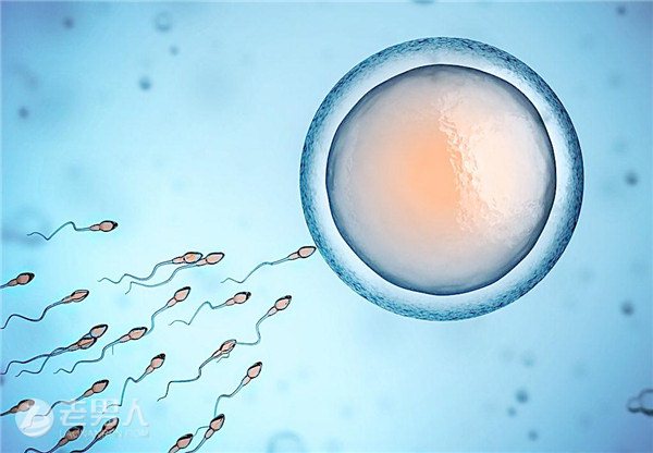 >男人的精子会被用完吗 一生到底有多少精子