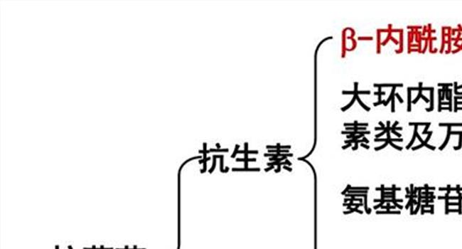 【抗生素消炎药有哪些】普通消炎药有哪些 抗生素就是消炎药吗