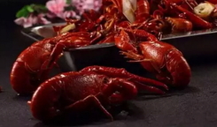 龙虾可以和番茄一起吃吗?龙虾能和番茄同吃吗?
