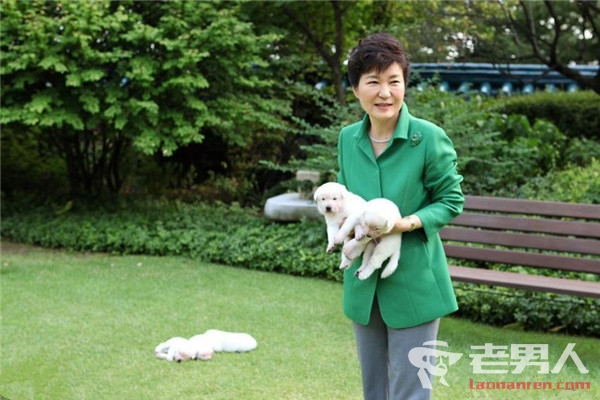 >朴槿惠疑虐待动物 9条宠物狗全被遗弃
