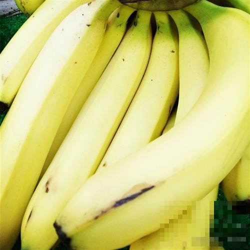 >表皮变黑的香蕉能不能吃？香蕉的营养和功效