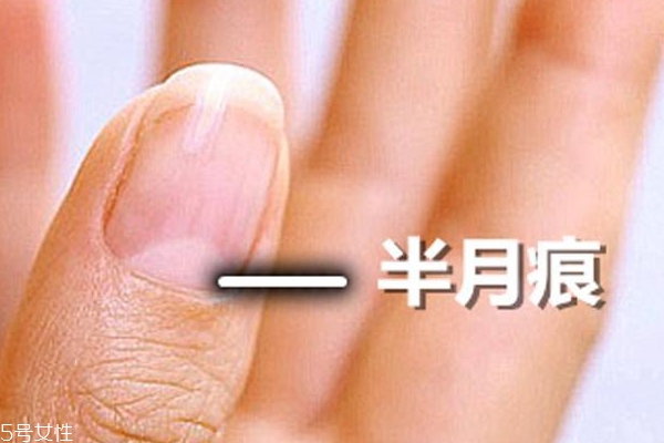 >指甲的月牙说明什么？看完我赶紧放下甲油