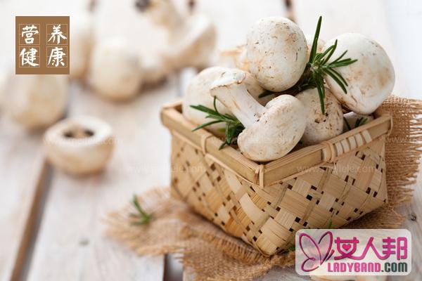 >蘑菇的营养价值及功效_蘑菇的食用作用详解！