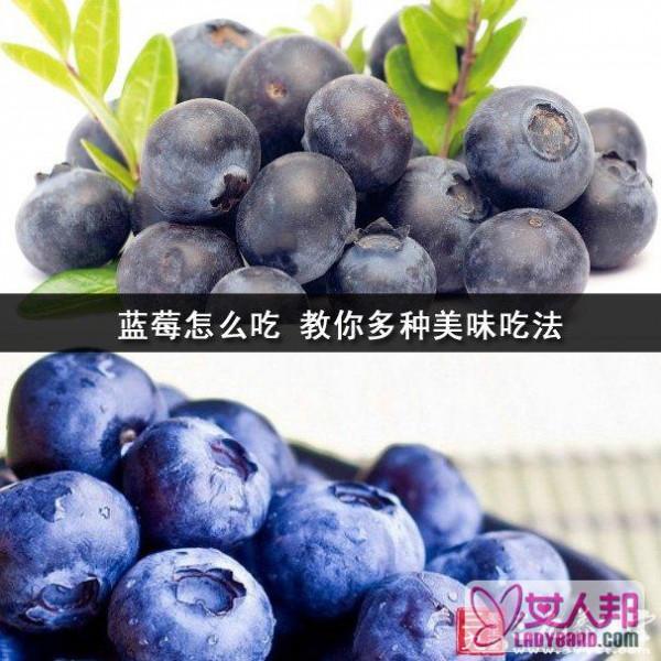 蓝莓怎么吃 教你多种美味吃法