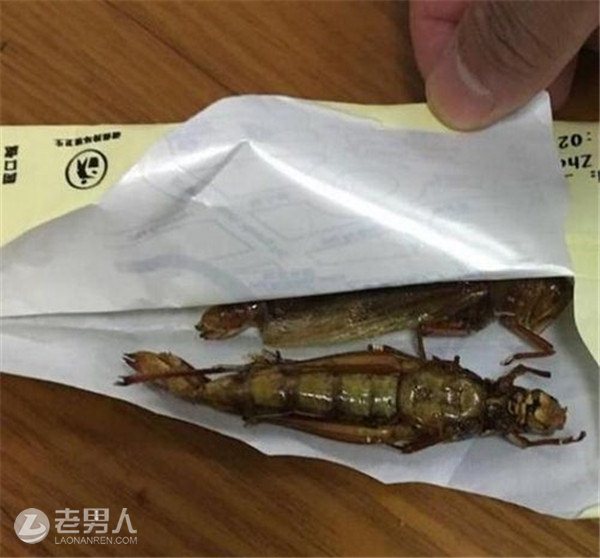 >吃油炸蚂蚱险丢命 医生提醒：食用昆虫需谨慎