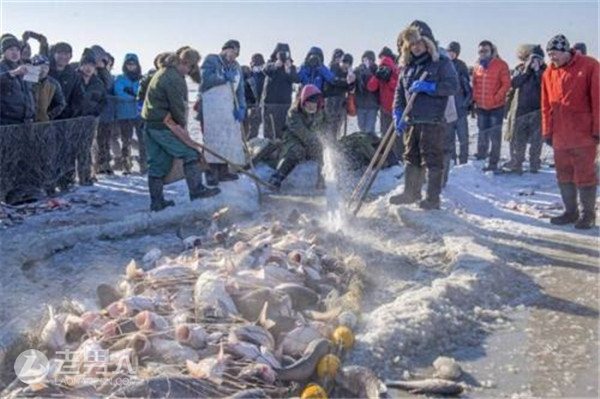 >50斤鱼拍出85万 查干湖冬捕已被列入非文遗名录