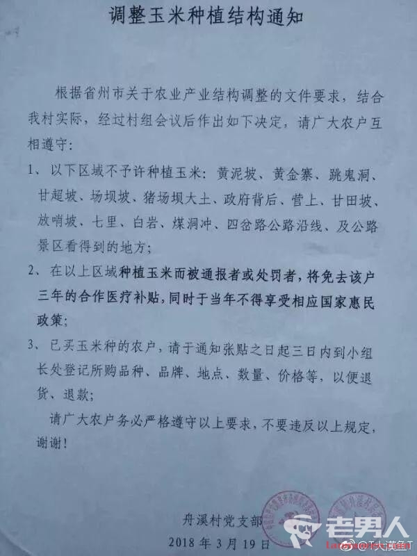 >贵州种玉米将被罚 镇政府：未上报获批已停止执行