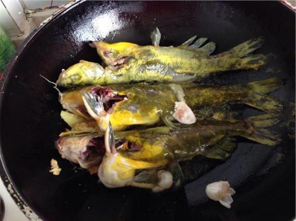 >葛格鱼的做法 红烧黄骨鱼的做法 红烧黄骨鱼图