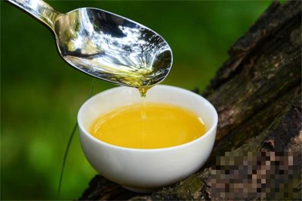 >山茶油的功效与作用_山茶油怎么吃介绍！推荐分类