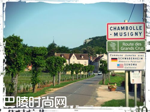细说伟大的勃艮第名村——香波-慕西尼