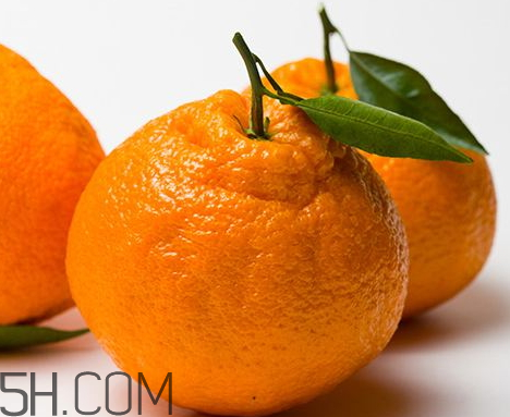 丑橘和丑柑如何分辨 丑橘和丑柑的区别