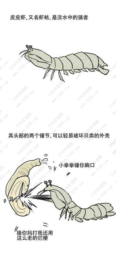 皮皮虾我走是什么梗来源故事漫画出处