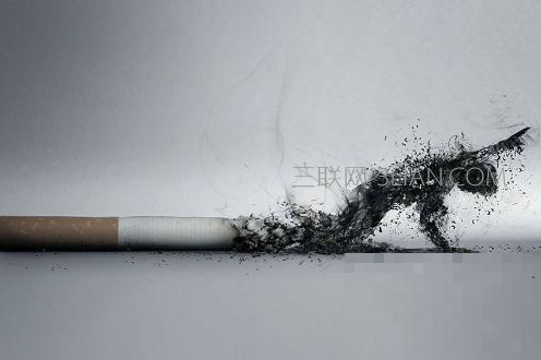 >吸烟的危害