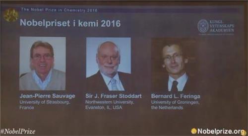 华裔科学家张锋 三位科学家同享2016年诺贝尔化学奖 华裔科学家无缘
