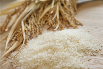 新米和陈米的区别 新米和旧米的区别