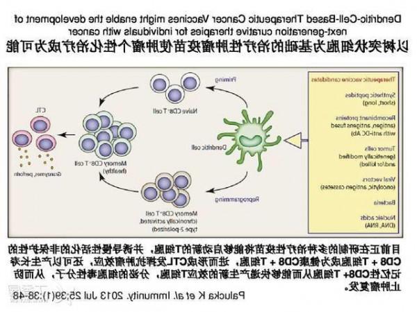 曹雪涛的父亲 曹雪涛院士研究的我国首个大肠癌树突状细胞治疗性疫苗
