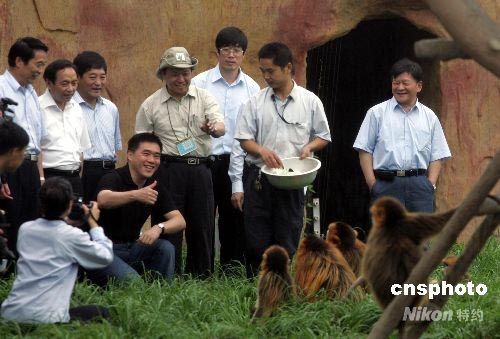 郝龙斌回大陆 台北市长郝龙斌有意从大陆引进金丝猴和大猩猩