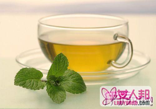 >松针茶的功效与作用 水煮和焖茶抗老化