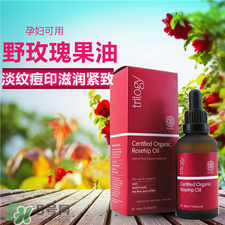 Trilogy玫瑰果油多少钱?Trilogy玫瑰果油价格