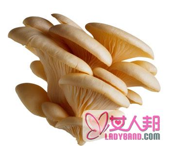 >【炒平菇的做法大全】炒平菇的营养价值_炒平菇的食用禁忌