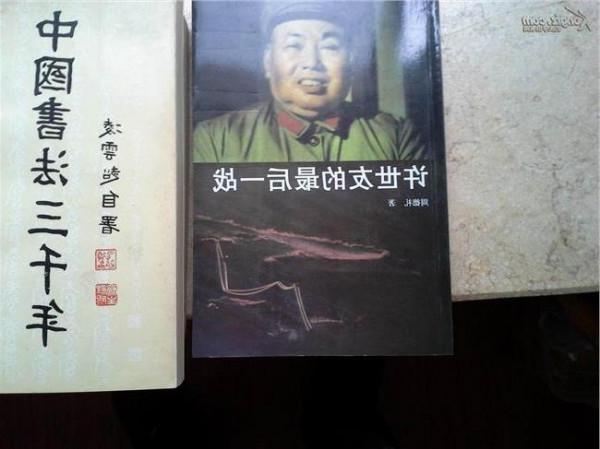 刘昌毅对越自卫反击战 许世友的最后一战(对越自卫反击战)