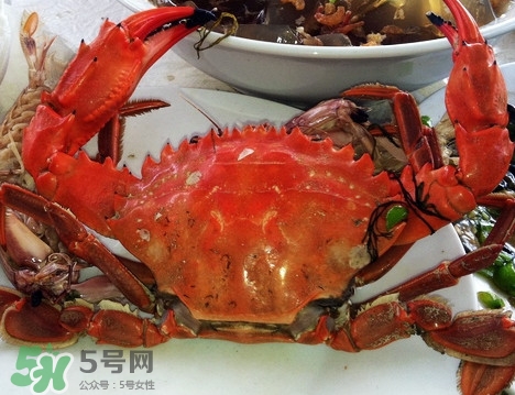 石夹红螃蟹怎么吃？石夹红螃蟹煮多久