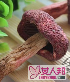 >【红蘑菇有毒吗】红蘑菇的营养价值_红蘑菇的功效