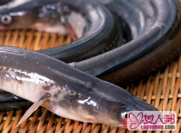 鳗鱼的营养价值 鳗鱼的食用方法有哪些