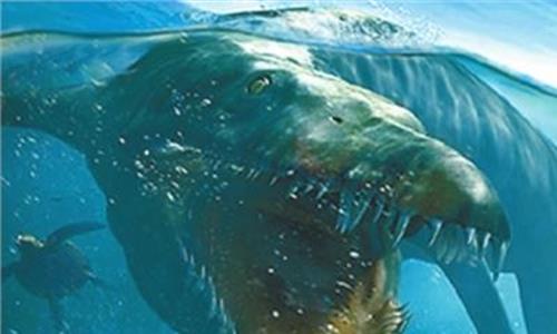 巨齿鲨目击事件 巨齿鲨真的存在吗