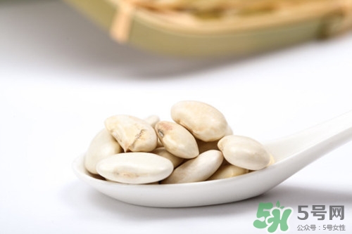 白芸豆是什么豆?白芸豆的功效与作用