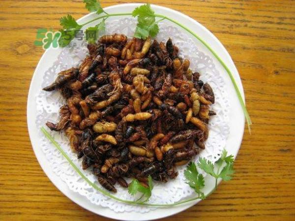 蜂蛹怎么保存？蜂蛹怎么做好吃？