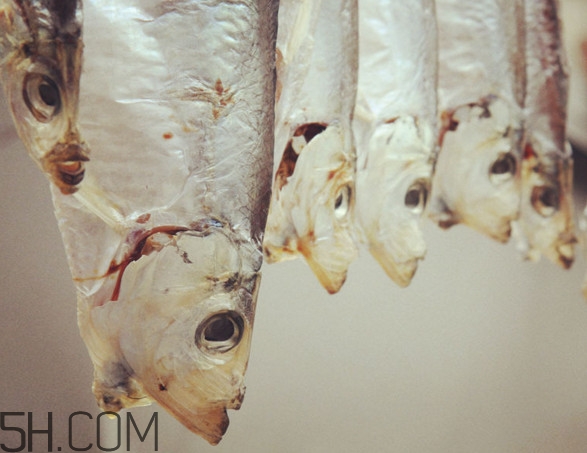 腌咸鱼盐和鱼的比例是多少？咸鱼一般腌多久才能晒