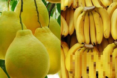 >了解柚子和香蕉可以一起吃吗 知道这些让饮食更健康