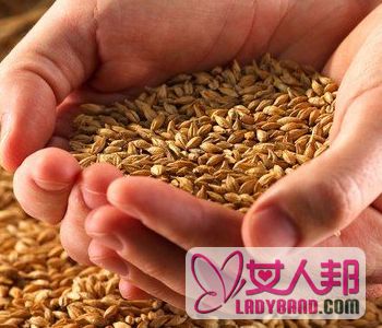 【浮小麦的副作用】浮小麦作用与功效_浮小麦怎么吃有营养