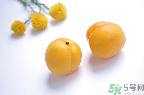 吃杏子能减肥吗？杏子的功效与作用