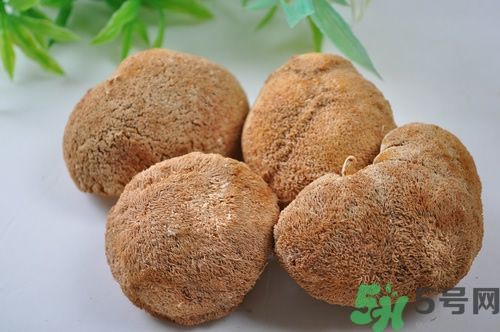 猴头菇粉怎么做？猴头菇饼干怎么做？