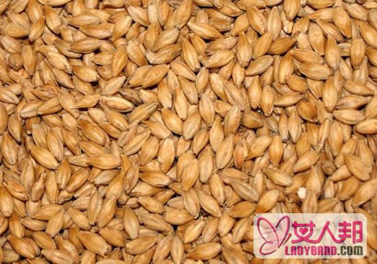 小麦蛋白片的功效与作用 可增强免疫力