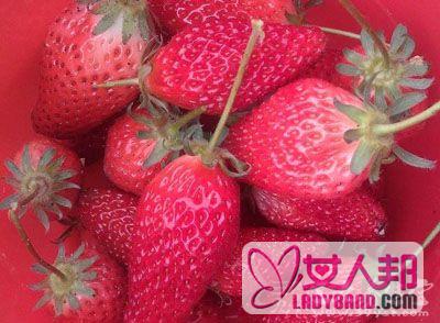 草莓的功效与作用 草莓能促进消化和益寿
