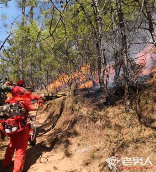 抽烟引发森林火灾 共造成林木损失3377.67万元
