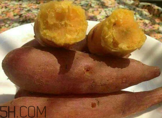 板栗红薯能一起吃吗？板栗红薯哪里产的好吃