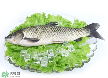 草鱼怎么做好吃 草鱼怎么做好吃又简单