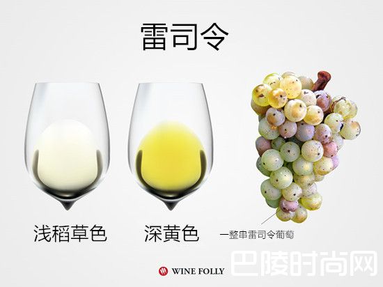 摩泽尔河谷葡萄酒指南