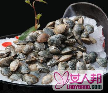 【花蛤怎么做好吃】花蛤的营养价值_花蛤的清洗妙招